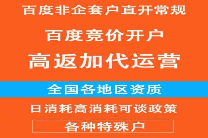 竞价推广实战：案例分析行业领军企业的成功之道