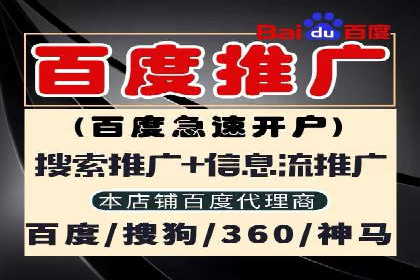某公司SEM推广的失败教训与成功经验